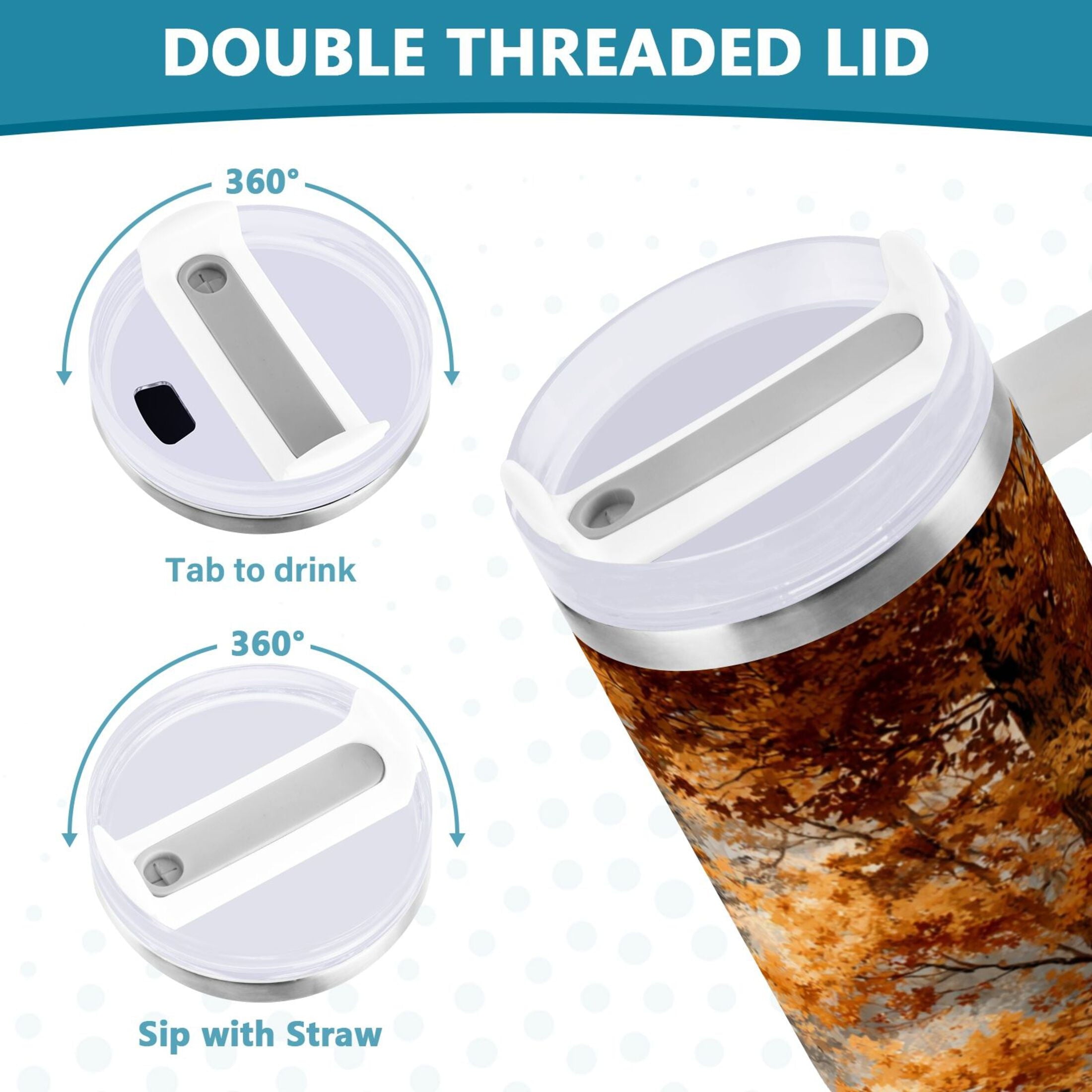 30 oz Insulated Stainless Steel Tumbler Double Wall Stainless Steel Tumbler with 2-Way Drinking Beautiful Autumn Forest [90MB]