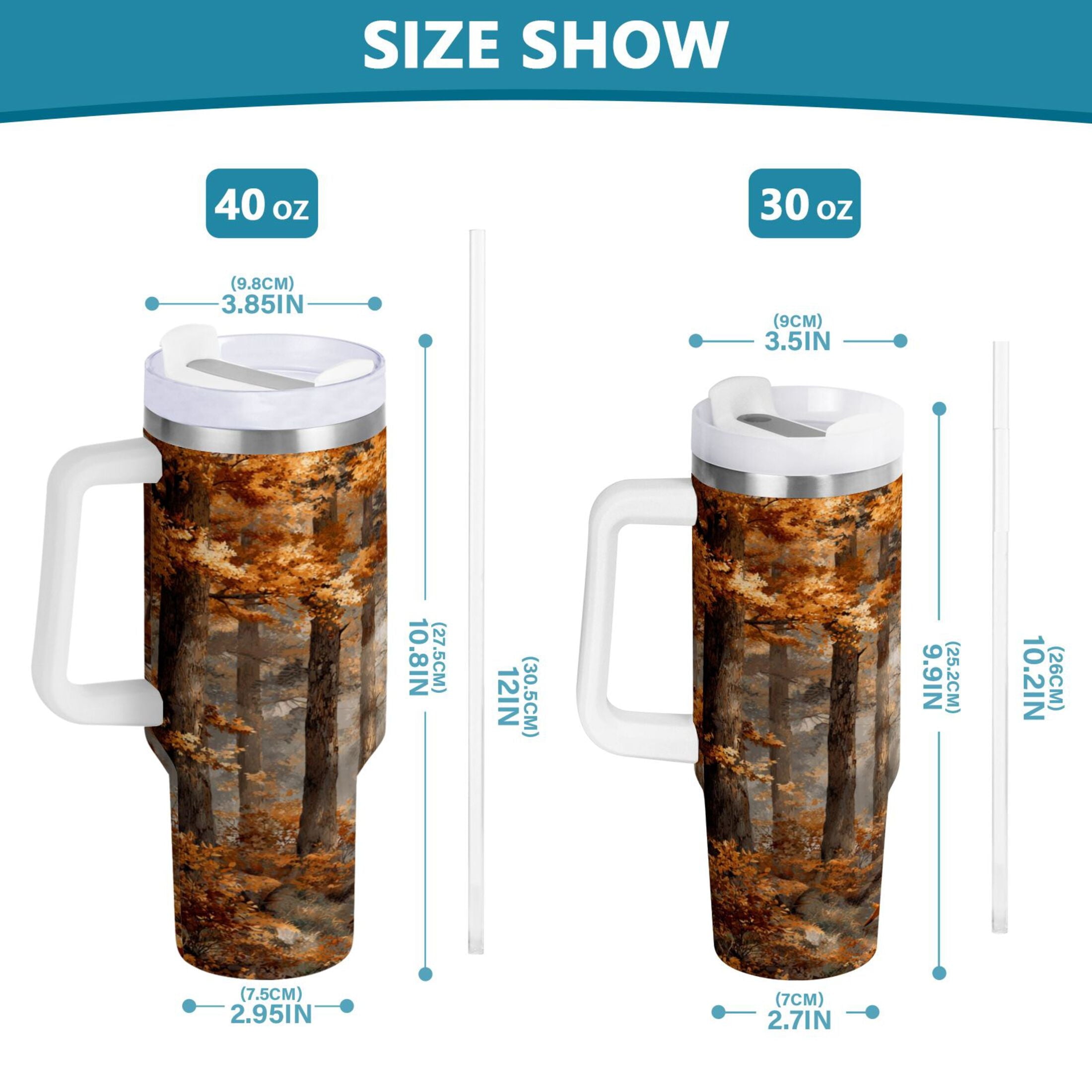 30 oz Insulated Stainless Steel Tumbler Double Wall Stainless Steel Tumbler with 2-Way Drinking Beautiful Autumn Forest [90MB]